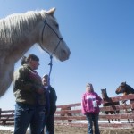 Courtney Gunter, left, Julie Acheson and Angie Soper stand with Ophelia, an 1,800-pound quarter horse Acheson is trading to Soper for reclaimed lumber and $1,500.