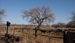 Fort Peck